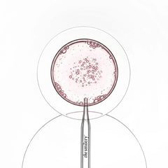 the-oral-microbiota